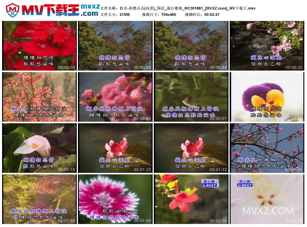 佚名-春愁点点(风景)_国语_流行歌曲_MC301881